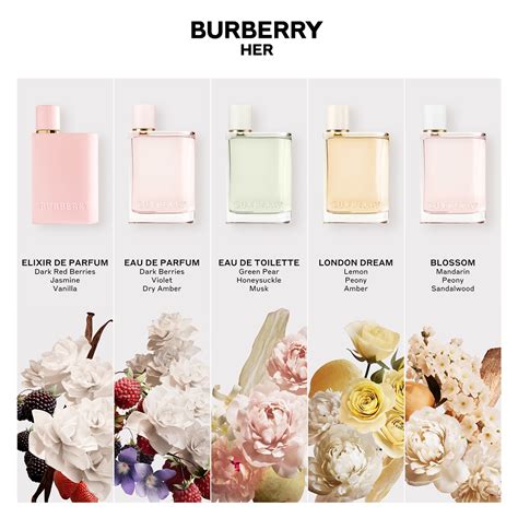 burberry her eau de parfum 100 ml preisvergleich|Burberry Her perfume 3.3 oz.